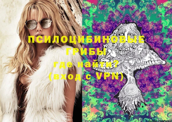 стаф Аркадак