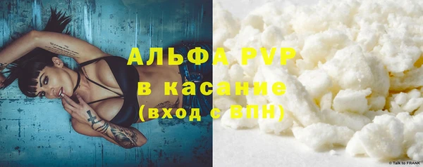 стаф Аркадак