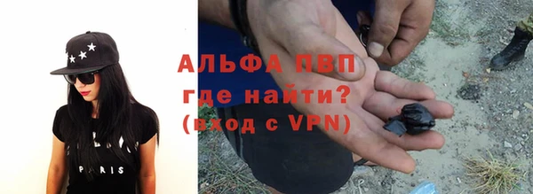 стаф Аркадак