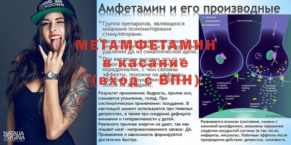стаф Аркадак