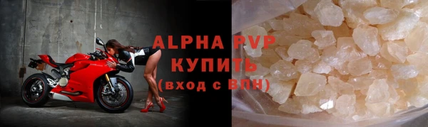стаф Аркадак