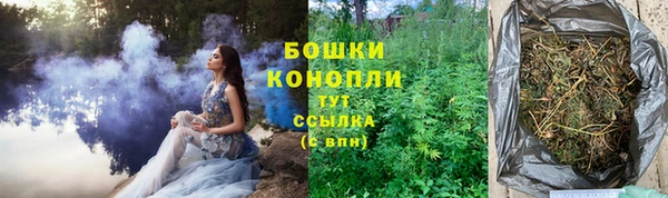 соль ск Арсеньев