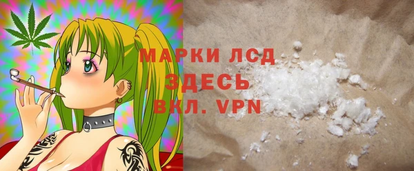 стаф Аркадак