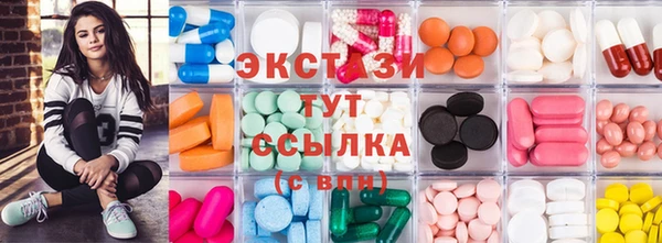 стаф Аркадак