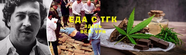 стаф Аркадак