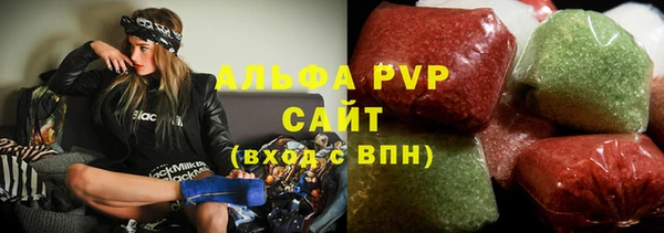 стаф Аркадак
